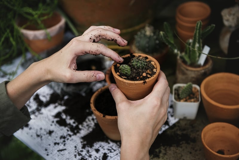 Urban Gardening Expert Michael Green